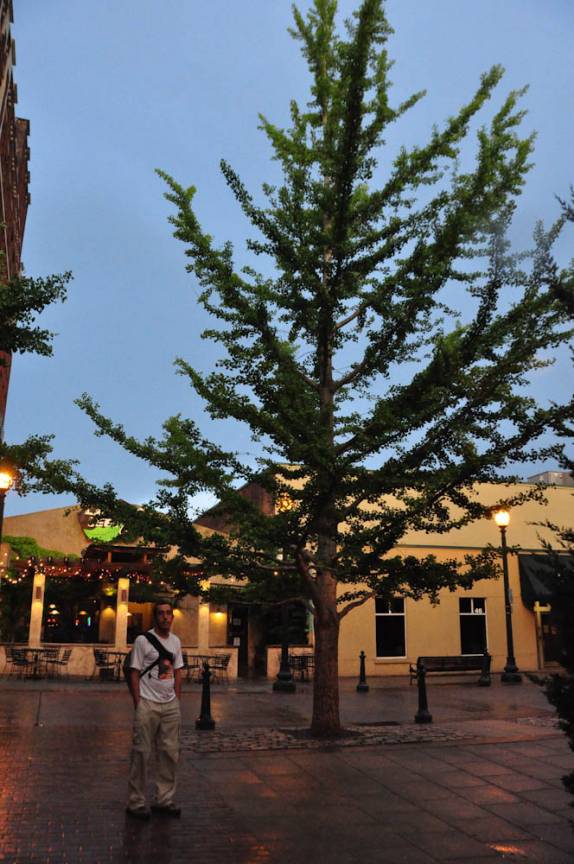 Caminhando pelo centro histórico de  Asheville, na Carolina do Norte, Estados Unidos